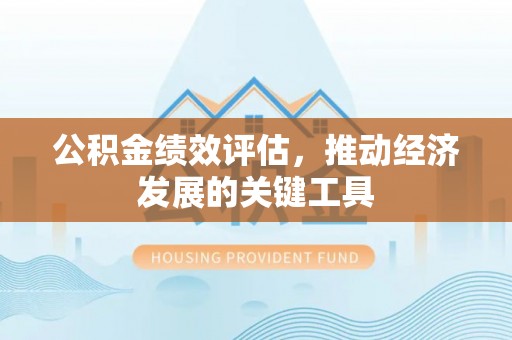 东源公积金绩效评估，推动经济发展的关键工具