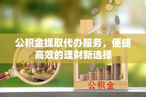 东源公积金提取代办服务，便捷高效的理财新选择