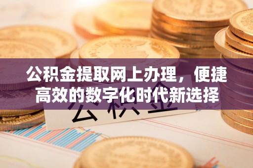 东源公积金提取网上办理，便捷高效的数字化时代新选择