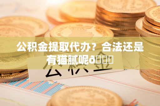 东源公积金提取代办？合法还是有猫腻呢😏
